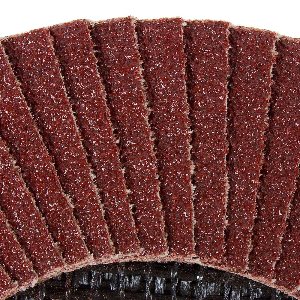 Лепестковый шлифовальный круг FLEXIONE Р80 для грубой обработки поверхностей 81929899 STLM-0014054 - Вид №1