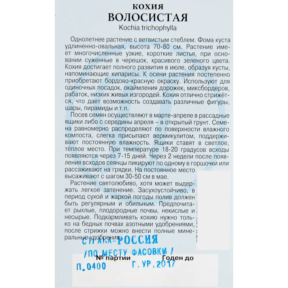 Семена цветов Кохия волосистая зеленая Престиж семена 82107740 STLM-2128074  - Вид №4