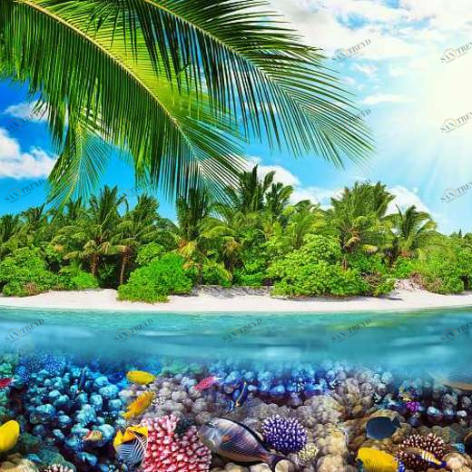 P-103 Фотообои DIVINO L&P 4х2.7 м P103