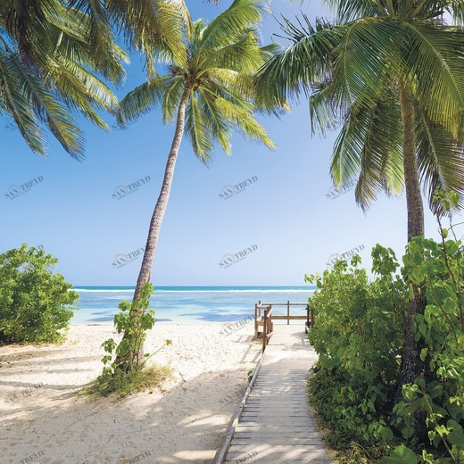 SH088-VD3-Palmy-Beach Фотообои Komar Stefan Hefele 2.5х3 м SH088VD3PALMYBEACH