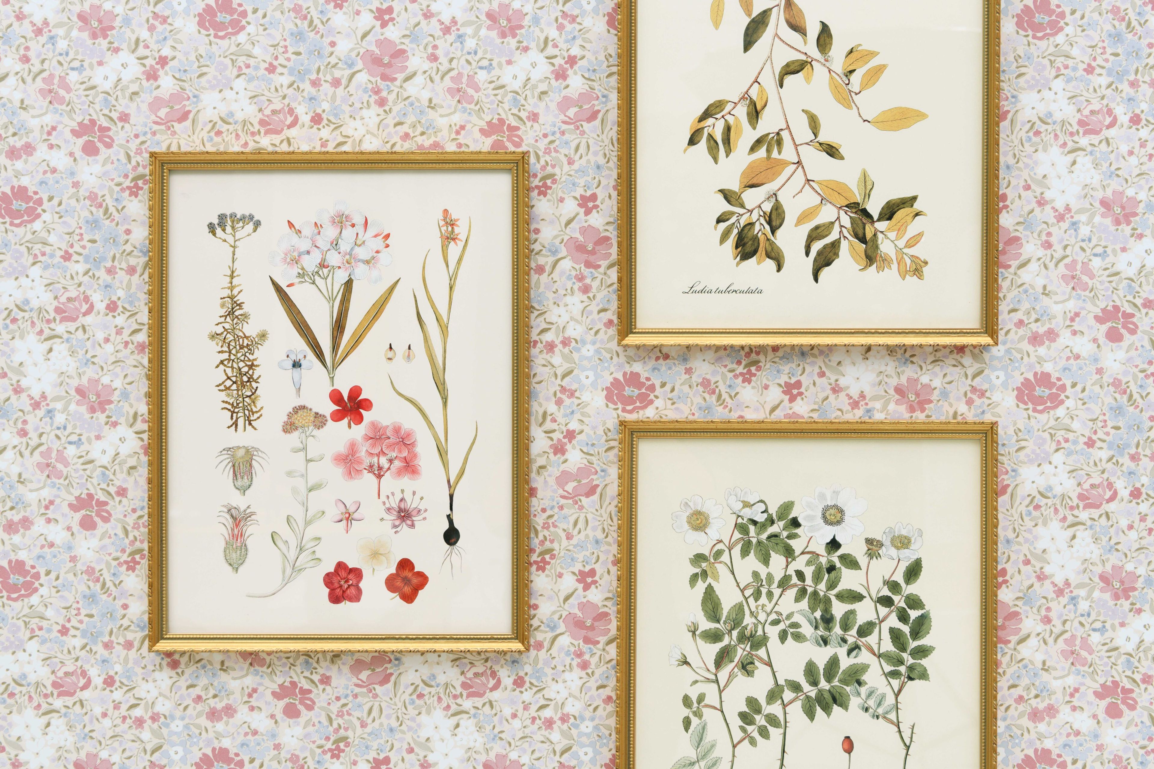 Цветочные узоры нетканые обои LELIEVRE Quenin-Belle Époque ARCH-00040094 - Вид №4