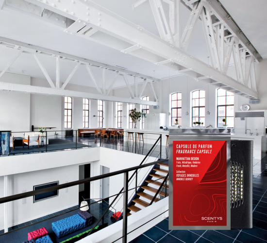 F0572 Ароматическая капсула SCENTYS Santreyd 