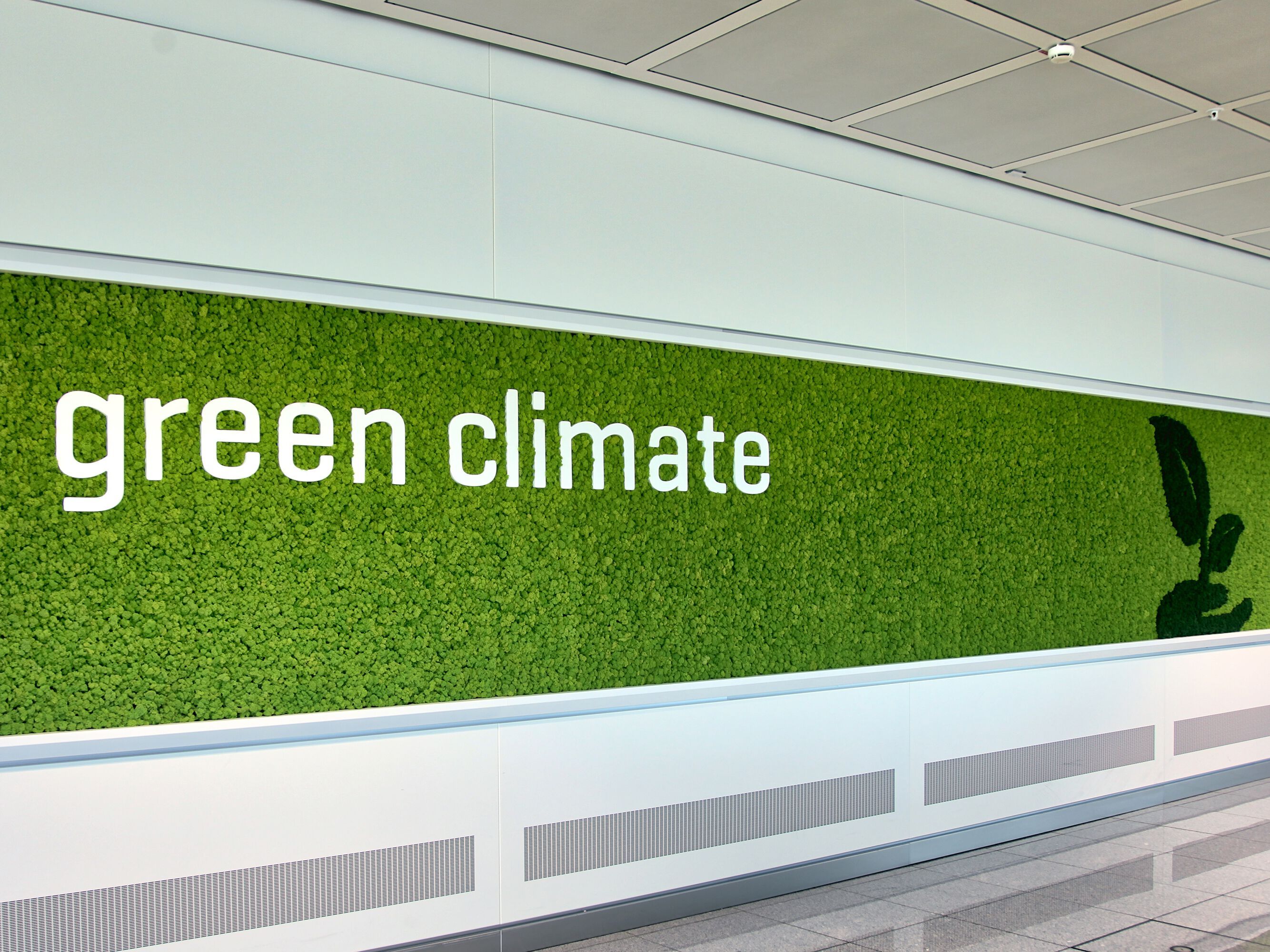 Растительная стена из мха Freund GmbH Green ARCH-00131248 - Вид №3