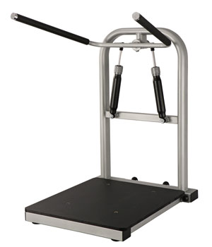 CEO200 Aerofit ceo200 боковые наклоны AeroFIT 