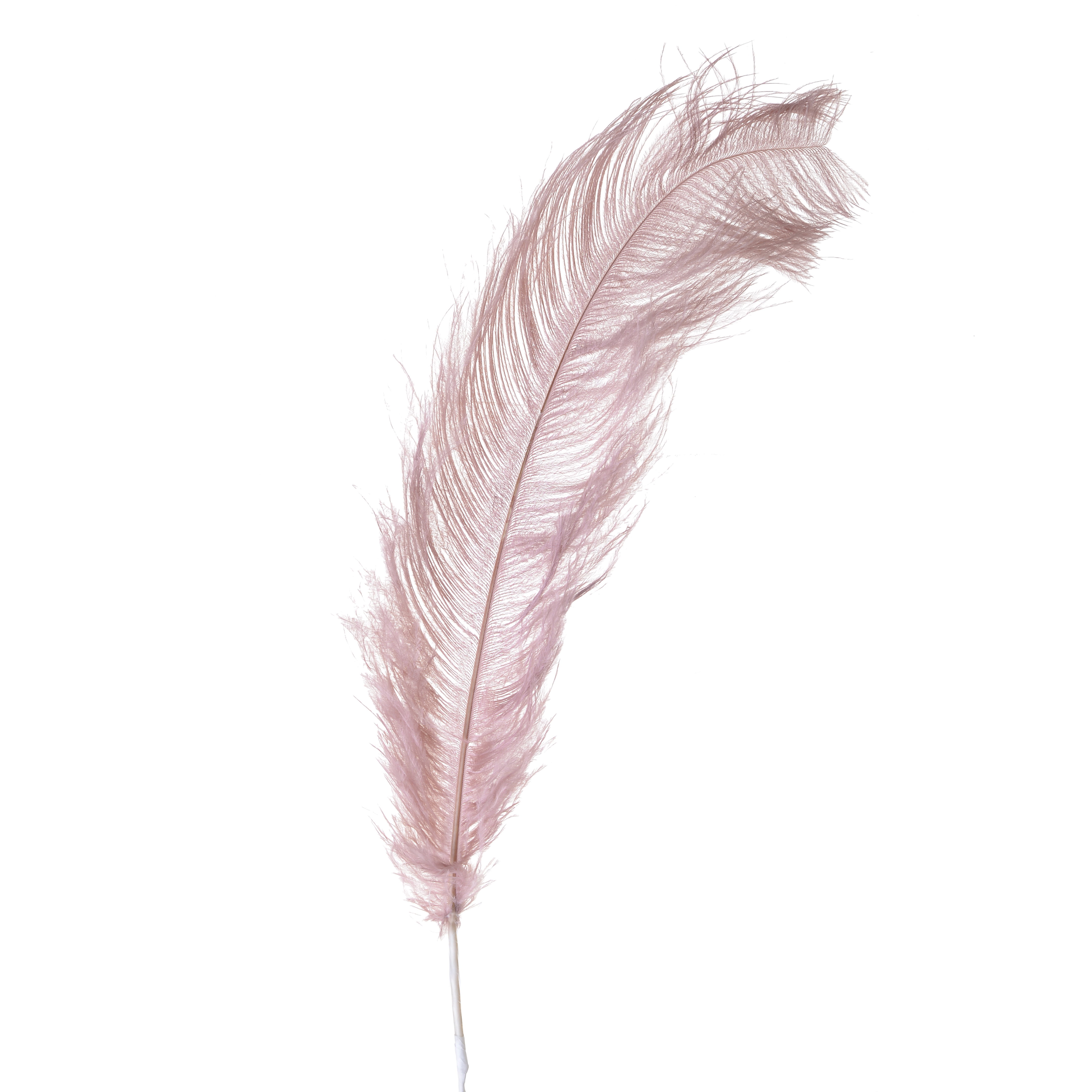 3870355.0041 ПЕРО ДЕКОРАТИВНОЕ TO4ROOMS  - Вид №1