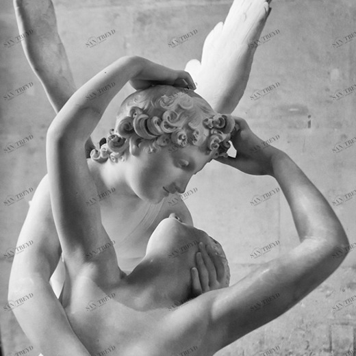 C2-226 Фотообои DIVINO Collection C 2.7х2 м C2226