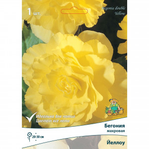 83593714 Бегония махровая Йеллоу луковица 5/6