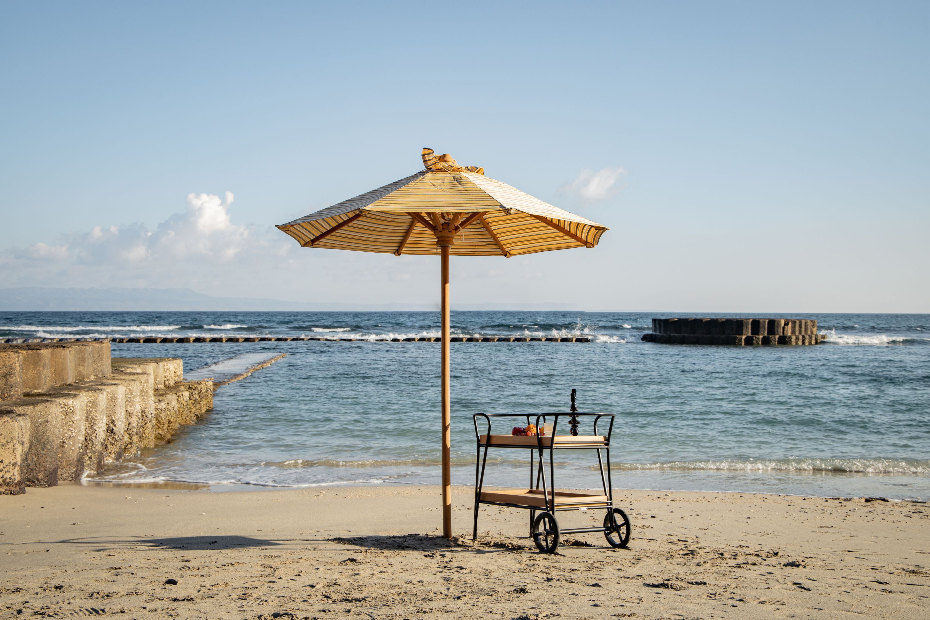 Алюминиевая и тиковая садовая тележка для еды cbdesign Lodz ARCH-00105183 - Вид №2