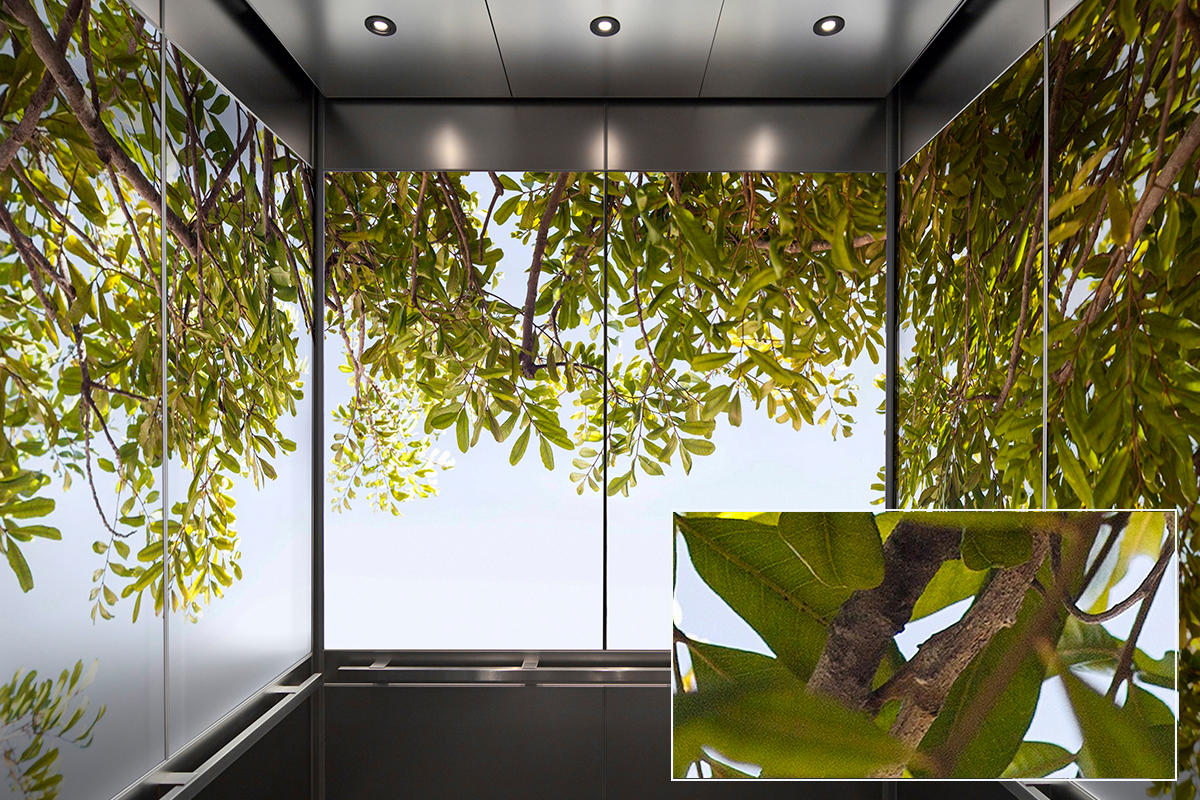 FSRT368 Зум-стекло Vivispectra с прослойкой из содалита Forms-surfaces  - Вид №17