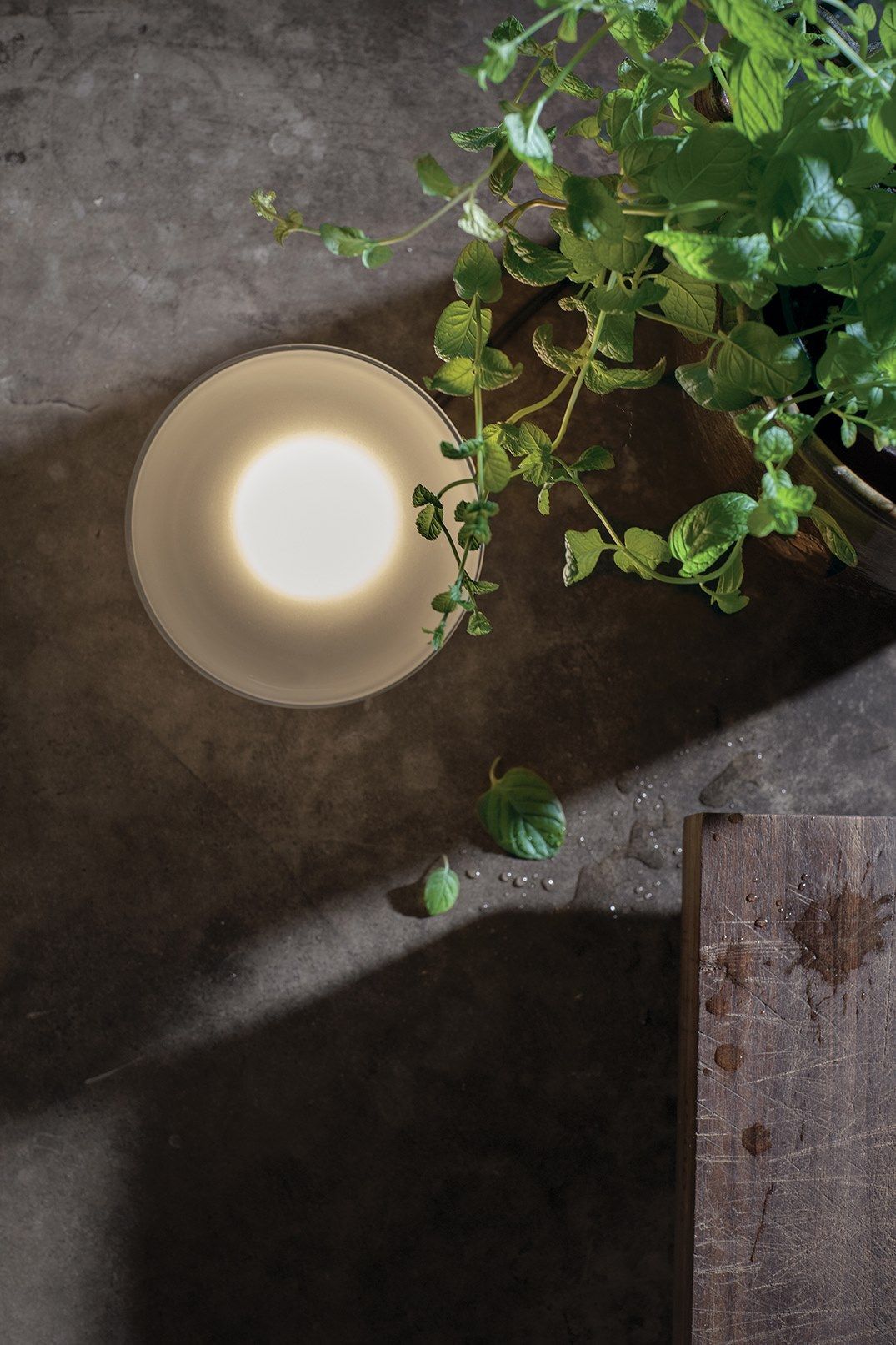 Стеклянная светодиодная настольная лампа Karman Agua ARCH-00148668 - Вид №9