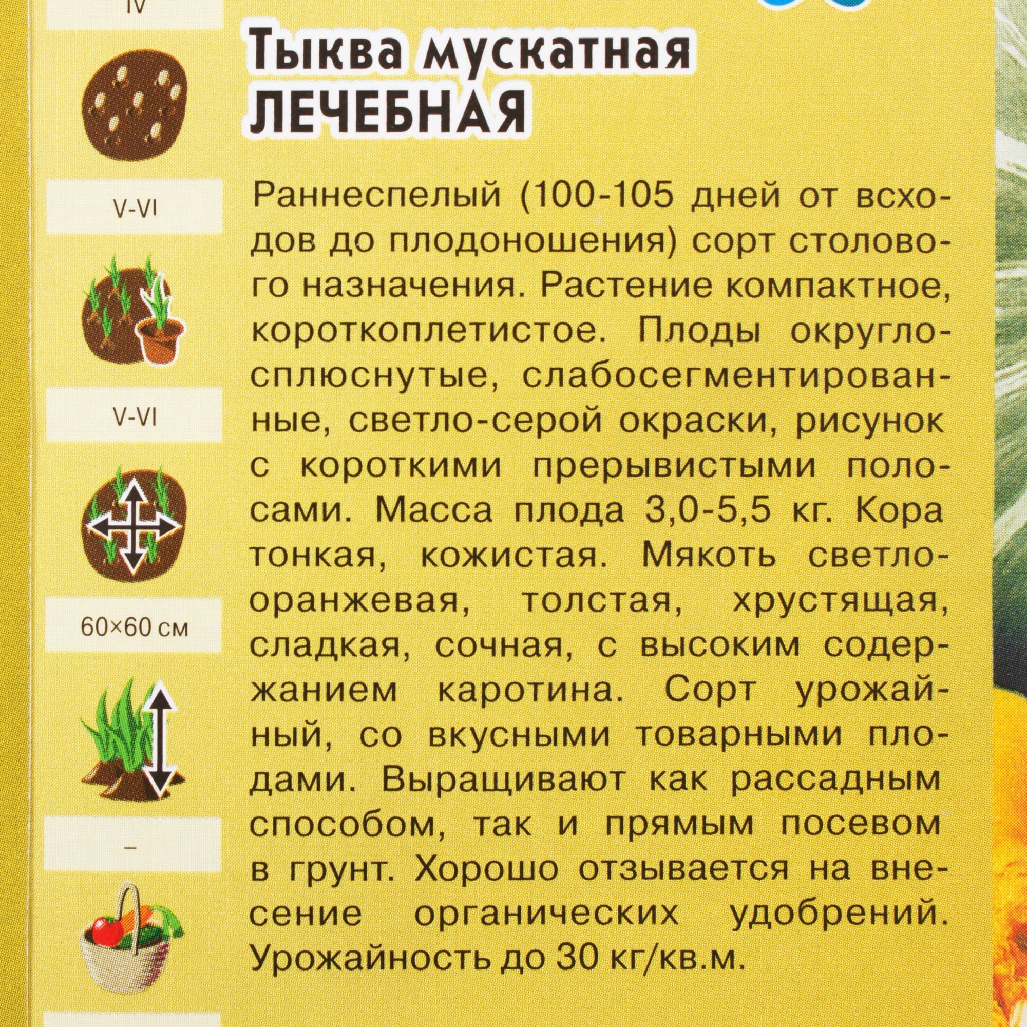 81933371 Семена Тыква «Лечебная» 2 г Santreyd  - Вид №2