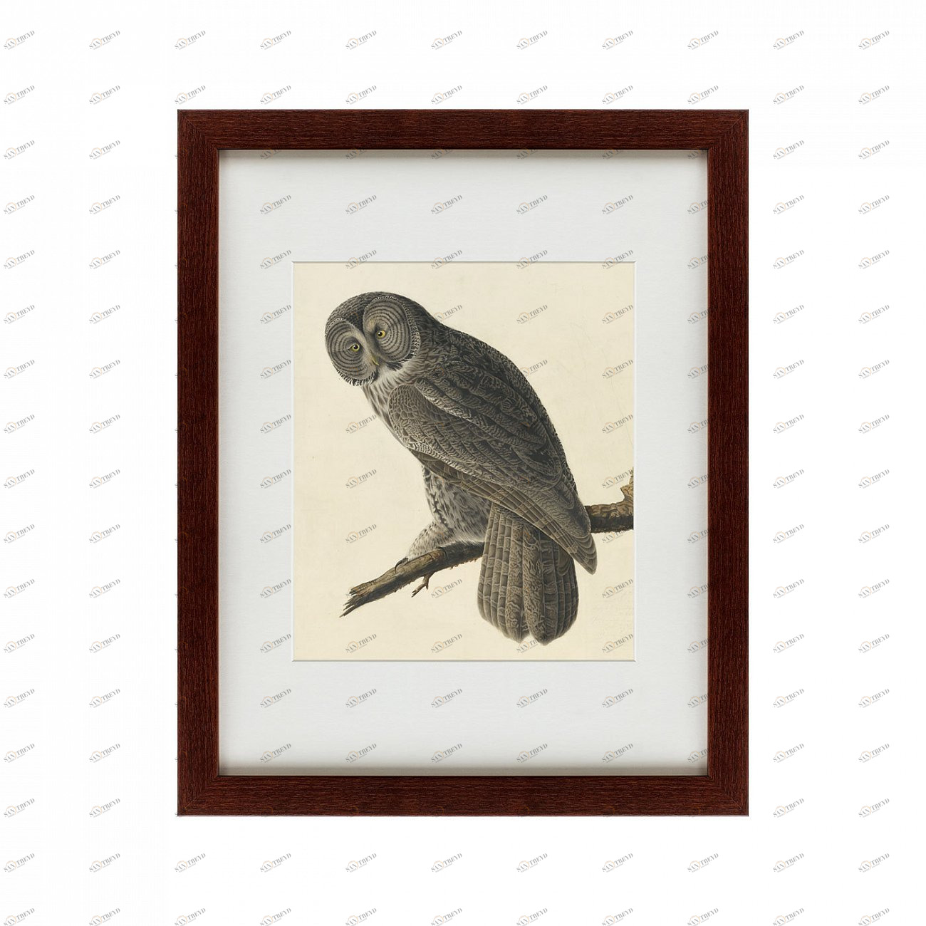 Картина: Great Gray Owl, 1834 КАРТИНЫ В КВАРТИРУ  135770 Разноцветный 