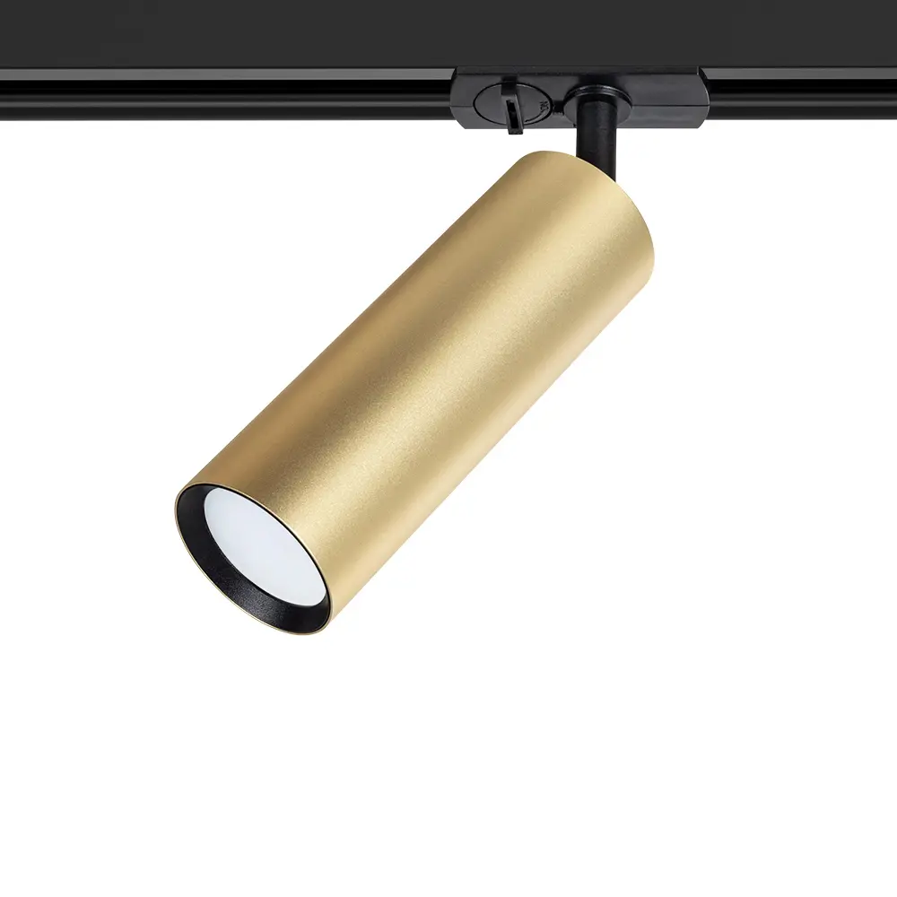 Arte Lamp Beid — золотой трековый спот для акцентного освещения 89437069 STLM-1578289