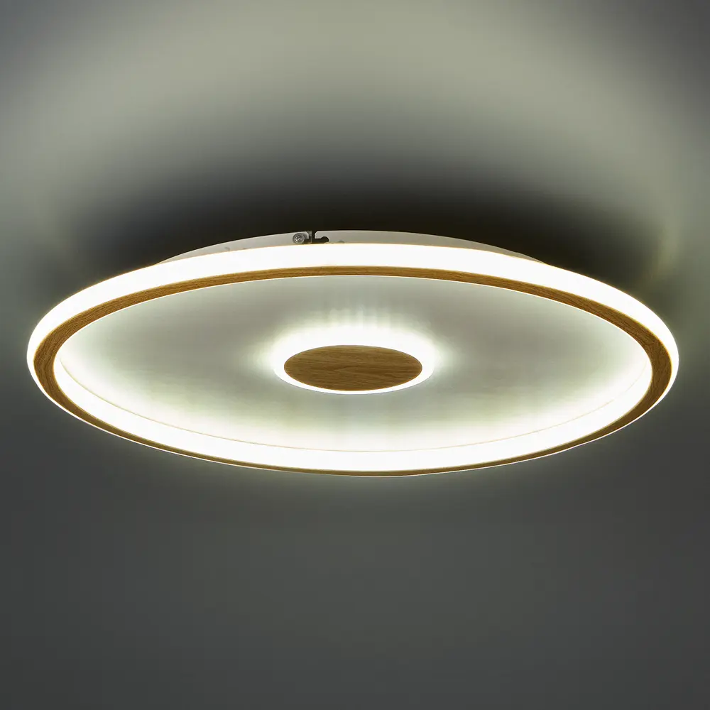 Светодиодный светильник Orbit FR5421CL-L80BG 80Вт бежевый 89344917 Santreyd STLM-0935206 - Вид №2