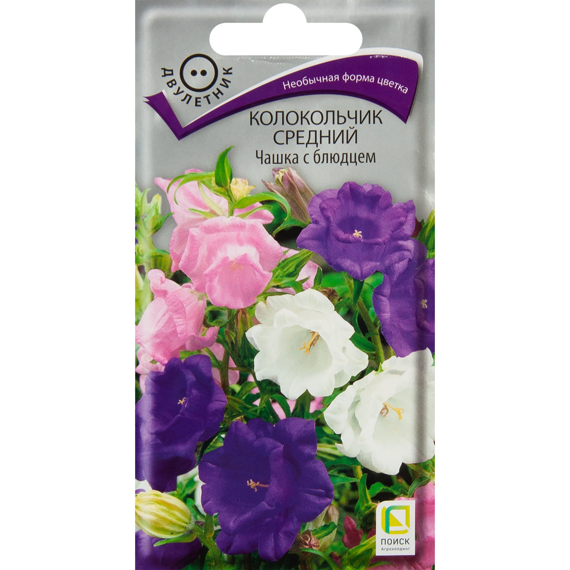ПОИСК Колокольник Чашка с блюдцем - семена цветов для сада 83577571 STLM-0041956