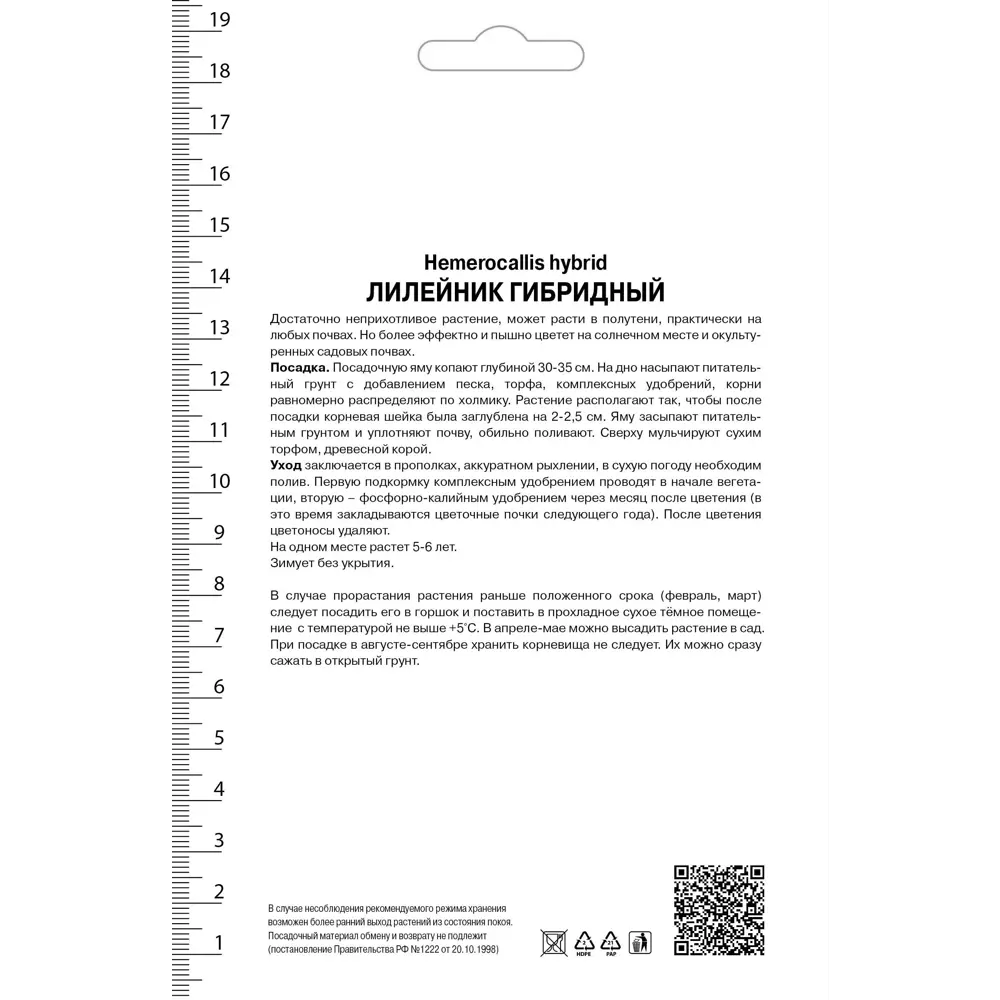 Лилейник гибридный Тропикал Сюрпрайз 82530546 STLM-2151242 Santreyd  - Вид №1