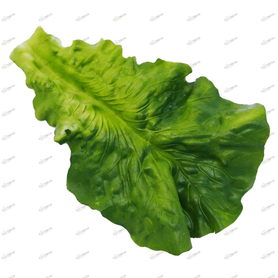 Листья салата искусственные (6 шт) Mr Plant 347990