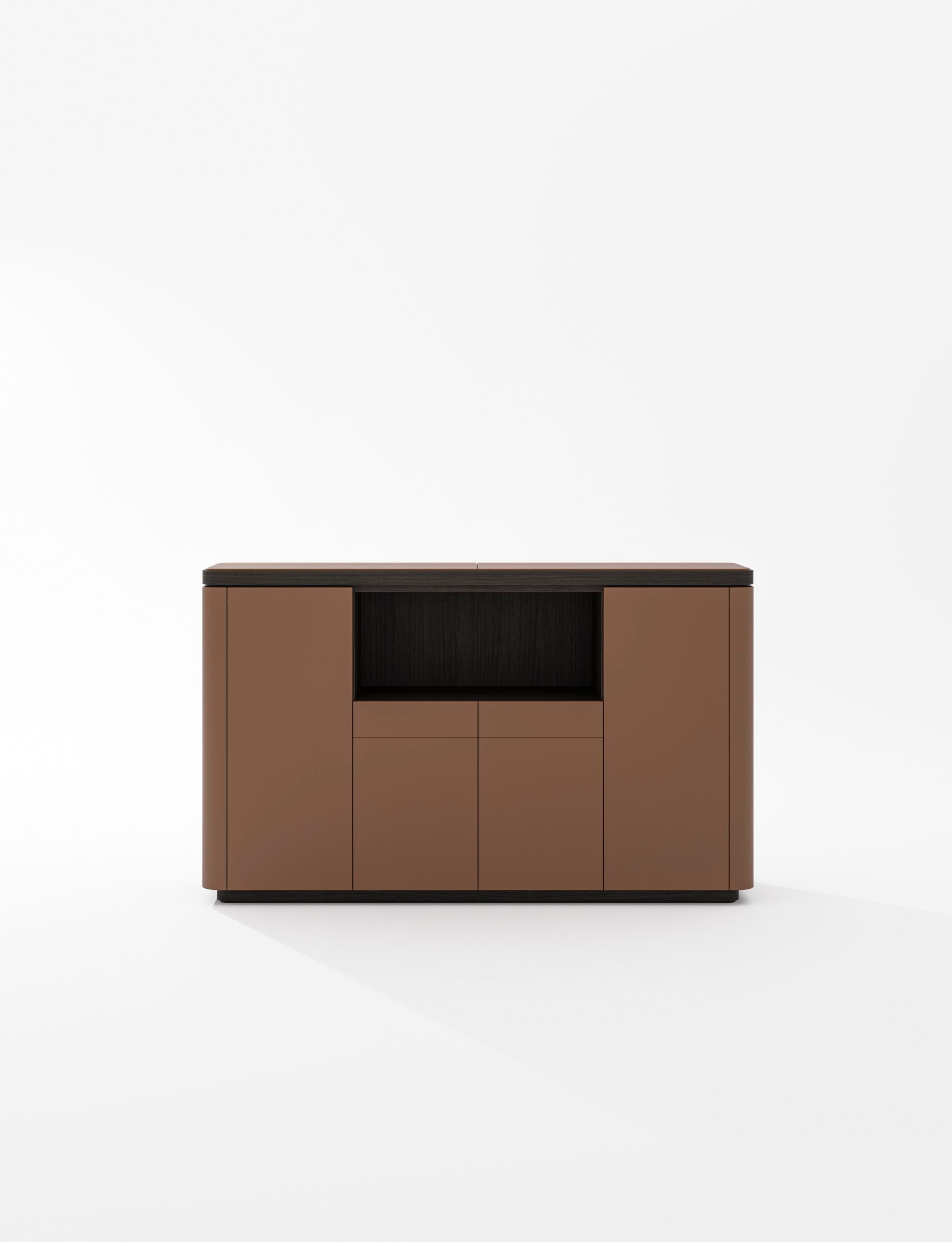 Кожаный офисный шкаф PROF Flow ARCH-00123767 - Вид №43