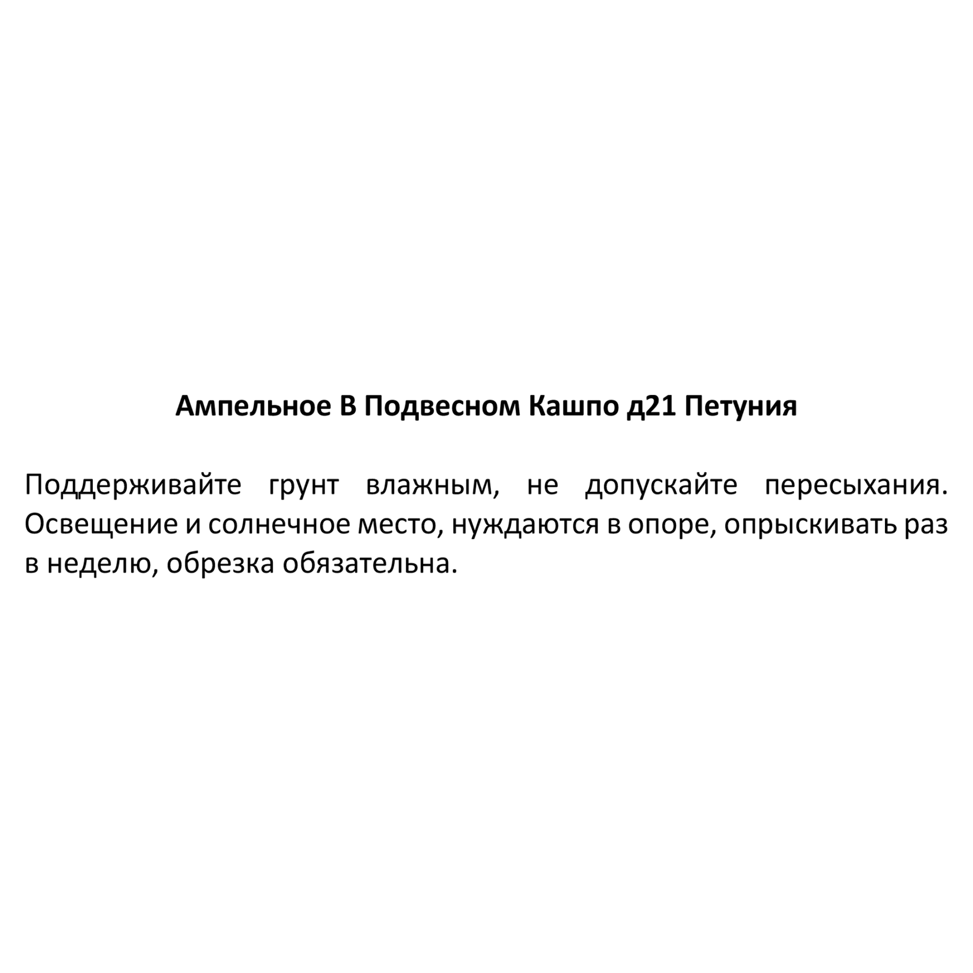 83248501 Петуния в кашпо ø21 h35 см Santreyd  - Вид №1