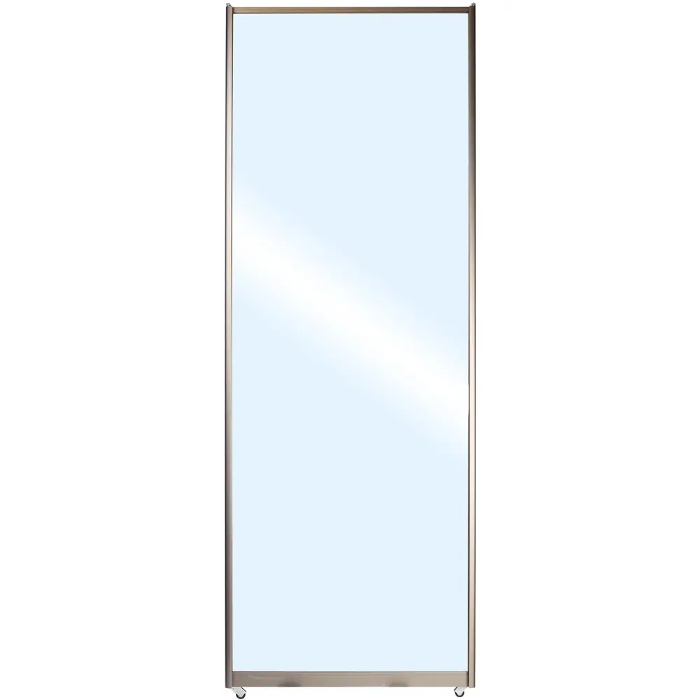 Дверь-купе Spaceo 2117х634 мм зеркало 18333701 STLM-2037236 Santreyd 