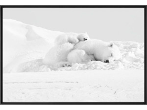 Печать фотографий на бумаге