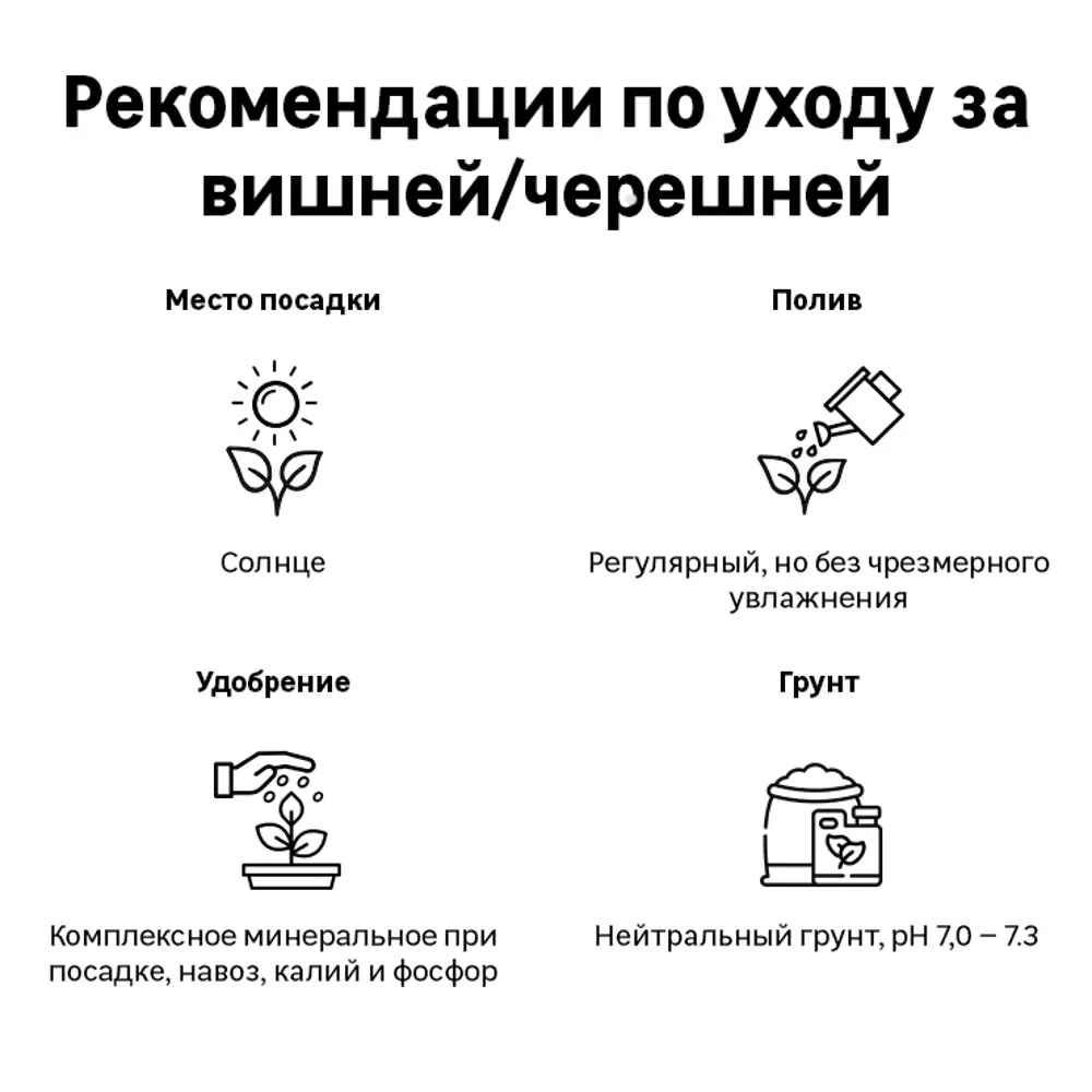Черешня колоновидная Сильвия ø18 h100 - 120 см 84737969 STLM-2087725 Santreyd  - Вид №1
