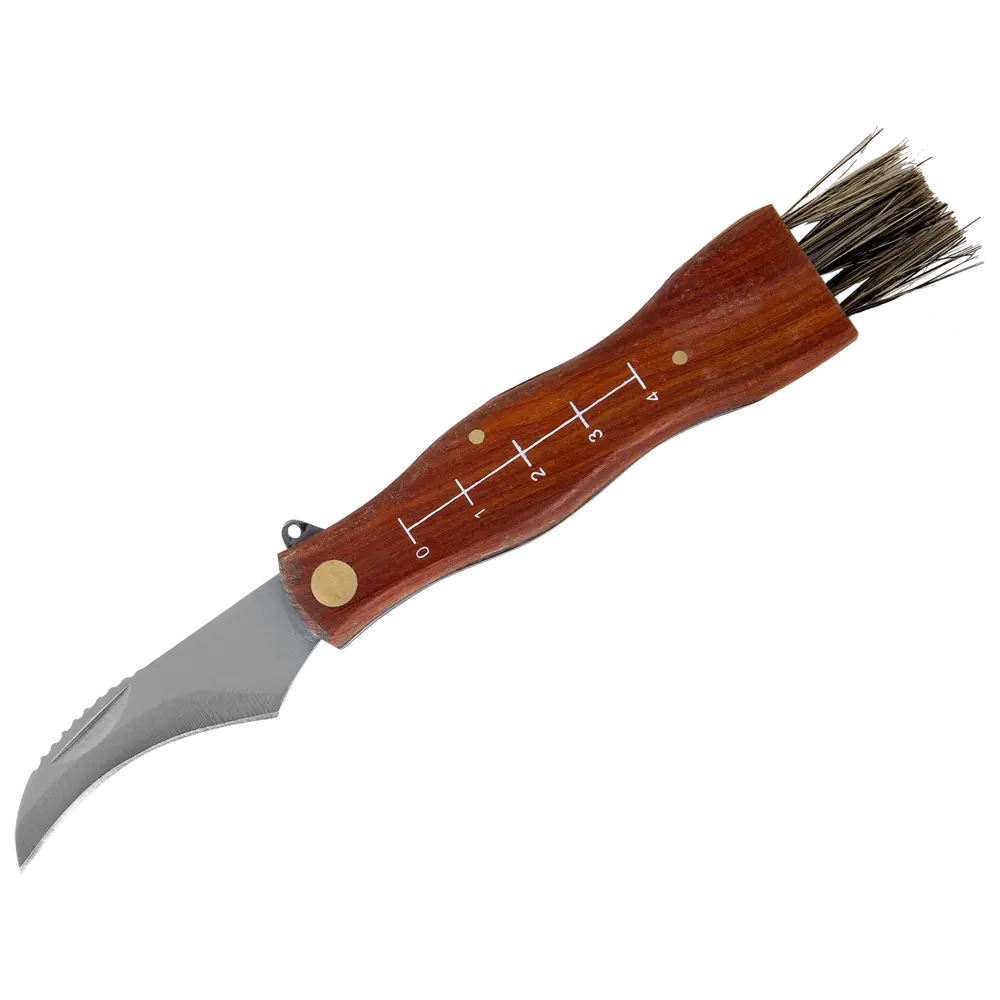 PALISAD Нож грибника с деревянной рукояткой и щеткой для очистки 82158920 STLM-0020775