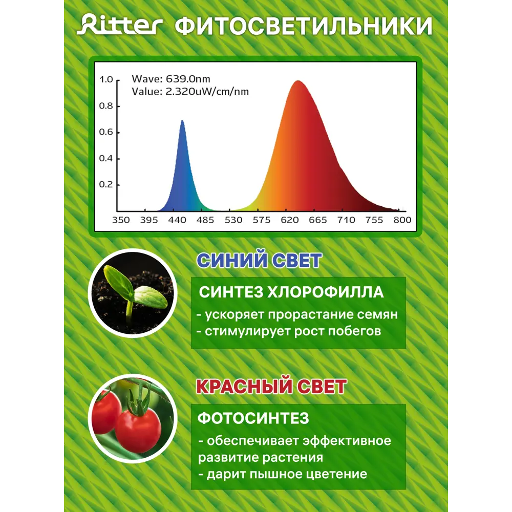 Фитосветильник линейный светодиодный Ritter 10 Вт 572 мм на штативе с держателем 56302 0  красно-синий спектр розовый свет STLM-2134822 - Вид №11