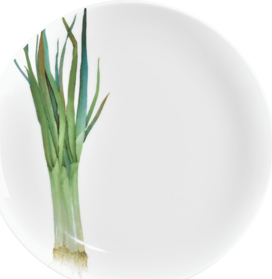 10637871 Noritake Тарелка закусочная Noritake "Овощной букет.Зелёный лук" 24м Фарфор 