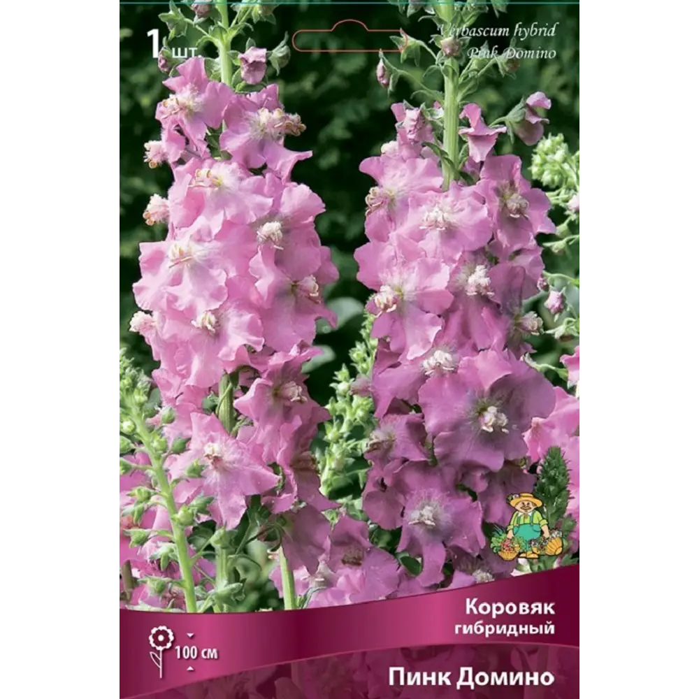 Коровяк гибридный Пинк Домино ПОИСК STLM-2011633