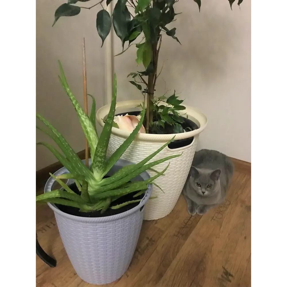 Кашпо для цветов Ingreen Rattan ø32.8 см v20 л пластик серый STLM-2044754 - Вид №5