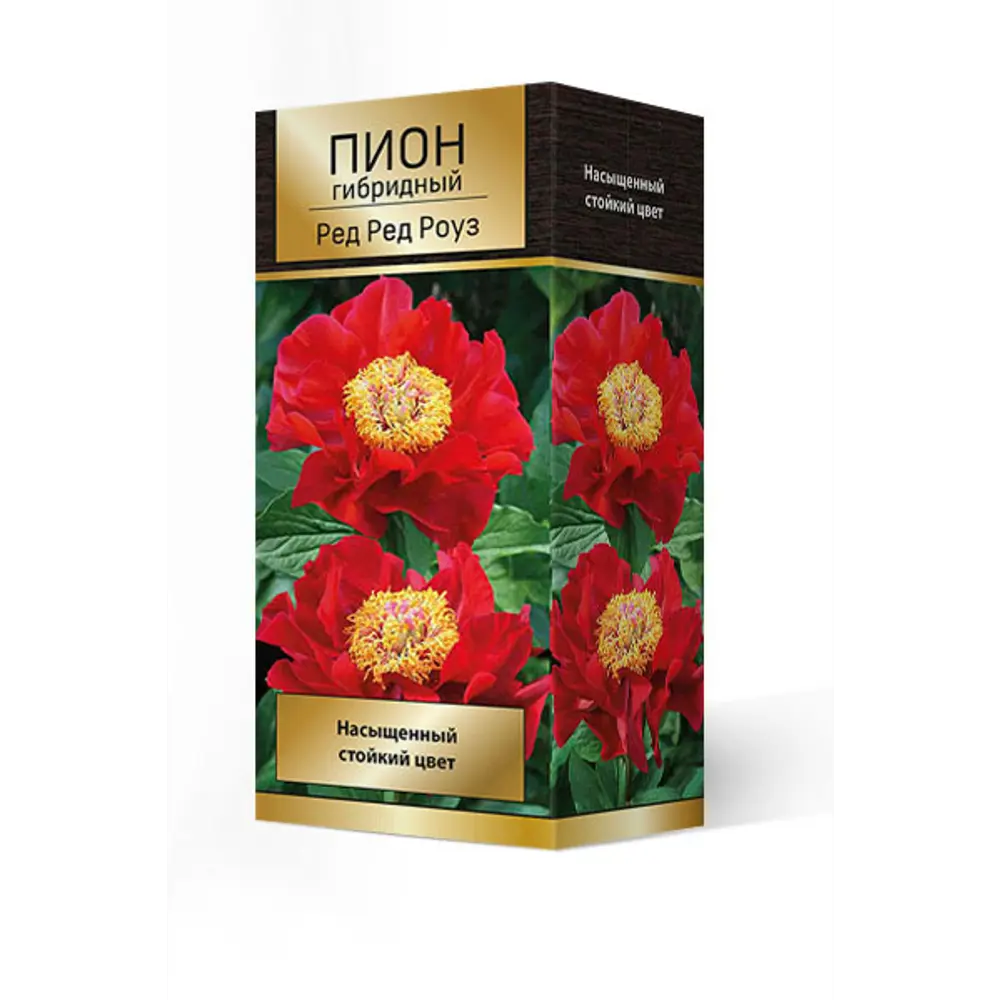 Пион гибридный Ред Роуз 88659243 STLM-2044878 ПОИСК 