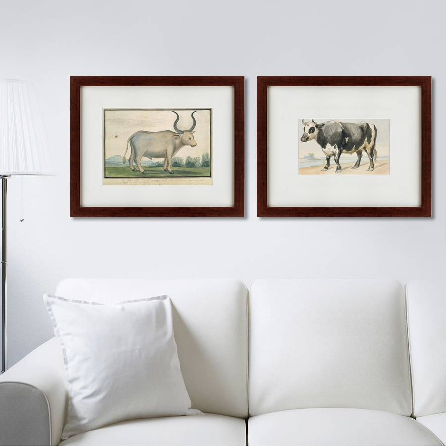 Литография на тонированной бумаге 42х52 см A Friesian bull, 1780 КАРТИНЫ В КВАРТИРУ  135681 Белый;коричневый;разноцветный  - Вид №2