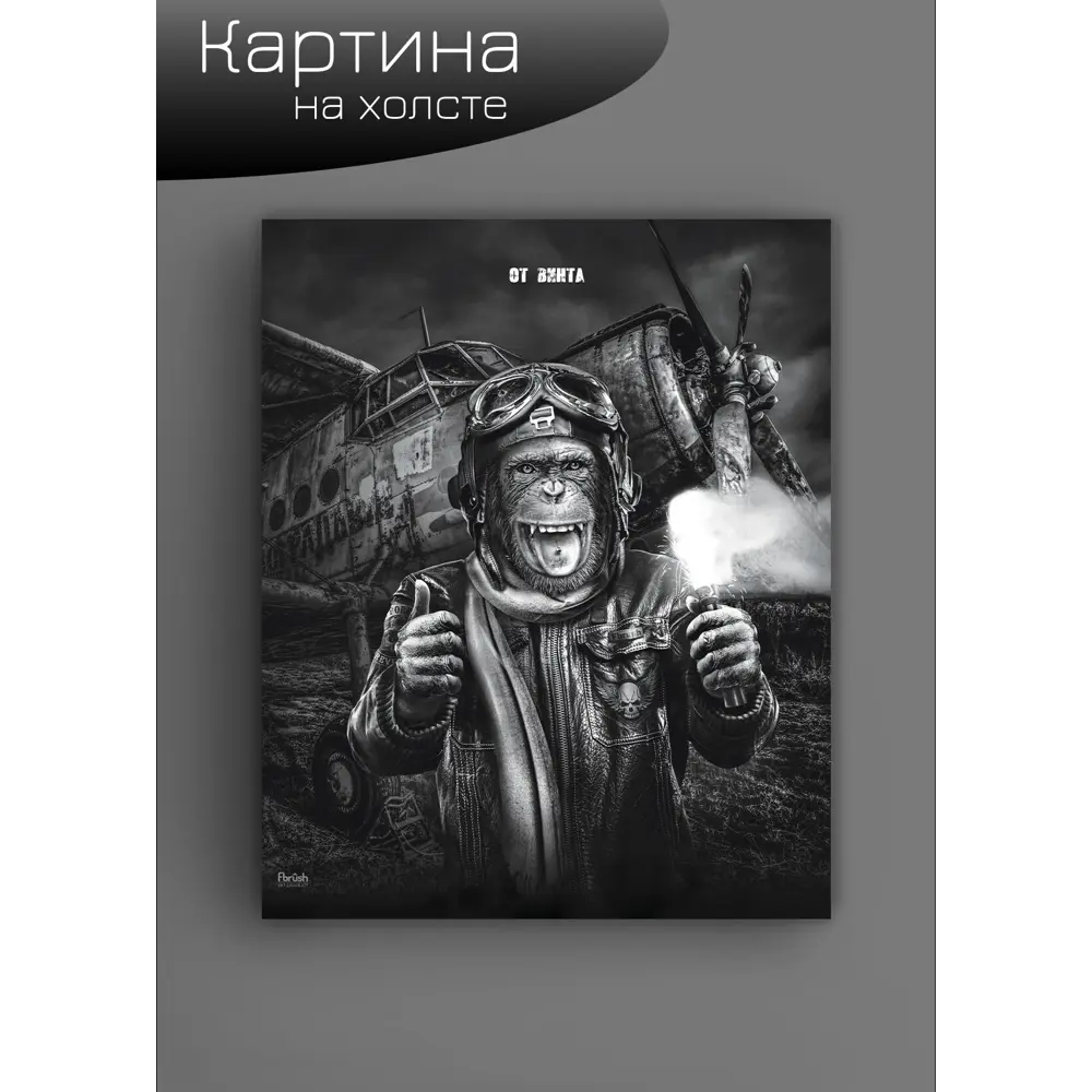 Картина на холсте Смелый пилот 40x50 см 85394529 STLM-2185487 FBRUSH  - Вид №5
