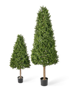 10.44106N Самшиты Тауэр уличные новые Цветочная коллекция