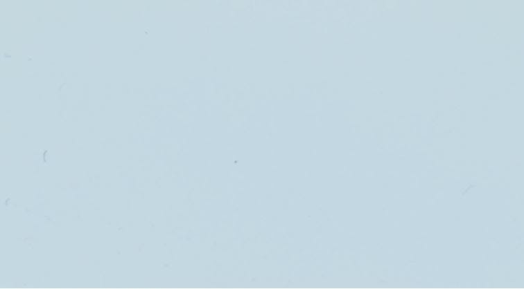 Глянцевая антикоррозийная эмаль Progettomateria SMALTO ZINC LUCIDO ARCH-00116660 - Вид №38