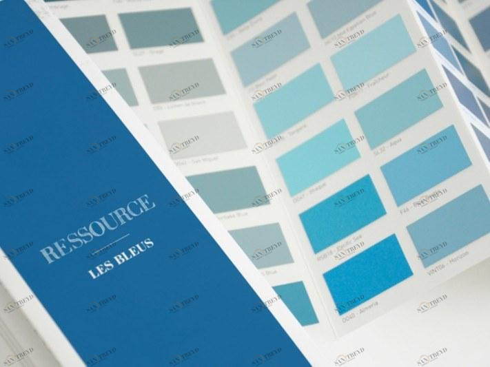 Ressource Моющаяся краска на водной основе Les bleus sun-id-1449659