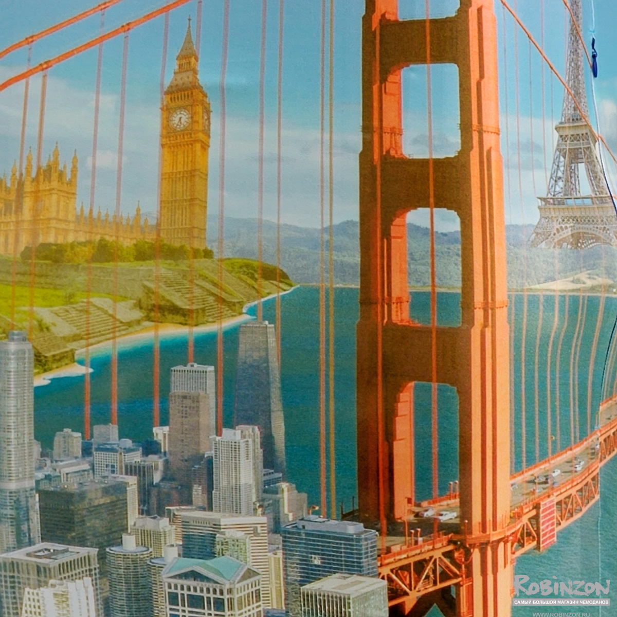 SP240 Citizen-M/L Чехол для чемодана средний Citizen M/L Routemark SP240  - Вид №2