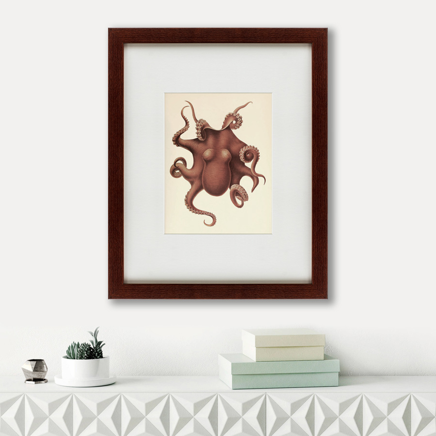 Картина в раме 52х42 см Pacific Octopus, 1731 КАРТИНЫ В КВАРТИРУ  135739 Коричневый  - Вид №1
