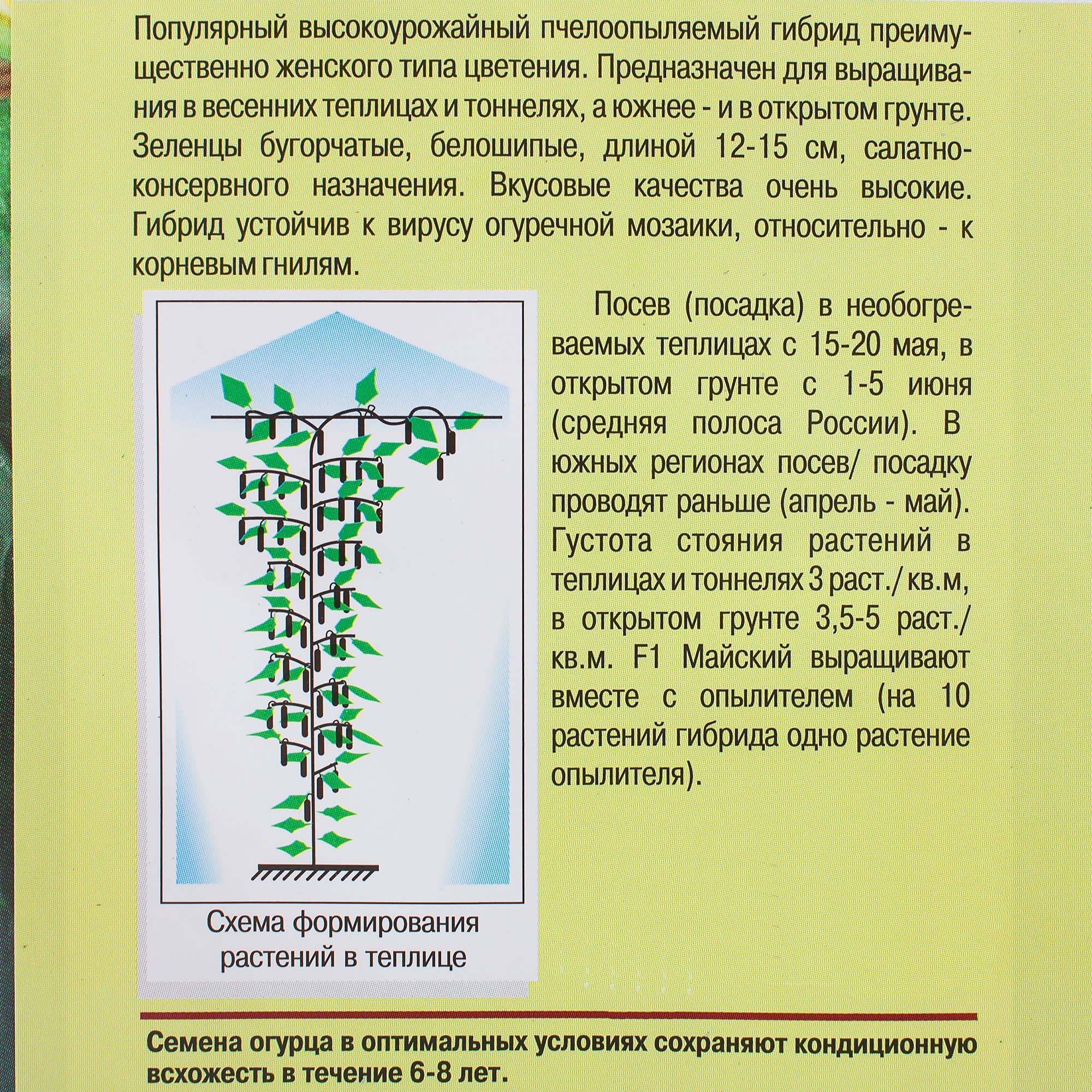 81932518 Семена Огурец «Майский» F1 Santreyd  - Вид №2