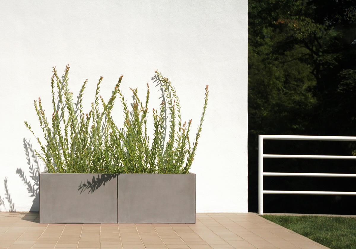 FSRT213 Сеялка для митры  Forms-surfaces  - Вид №3