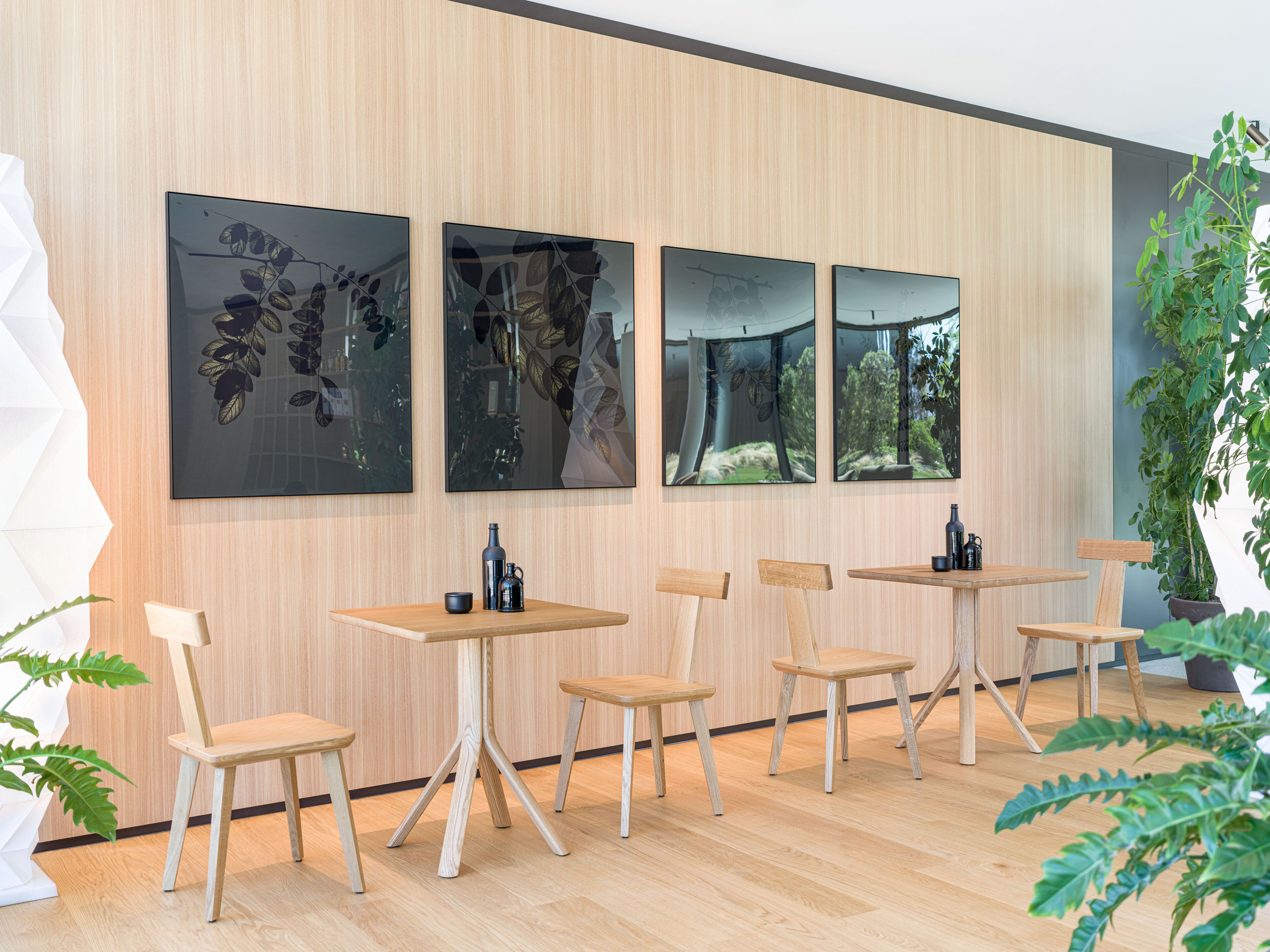 Стул из ясеня SIPA T Coffee ARCH-00121311 - Вид №9