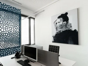 SPÄH designed acoustic Акустическая стеновая панель Basotect®