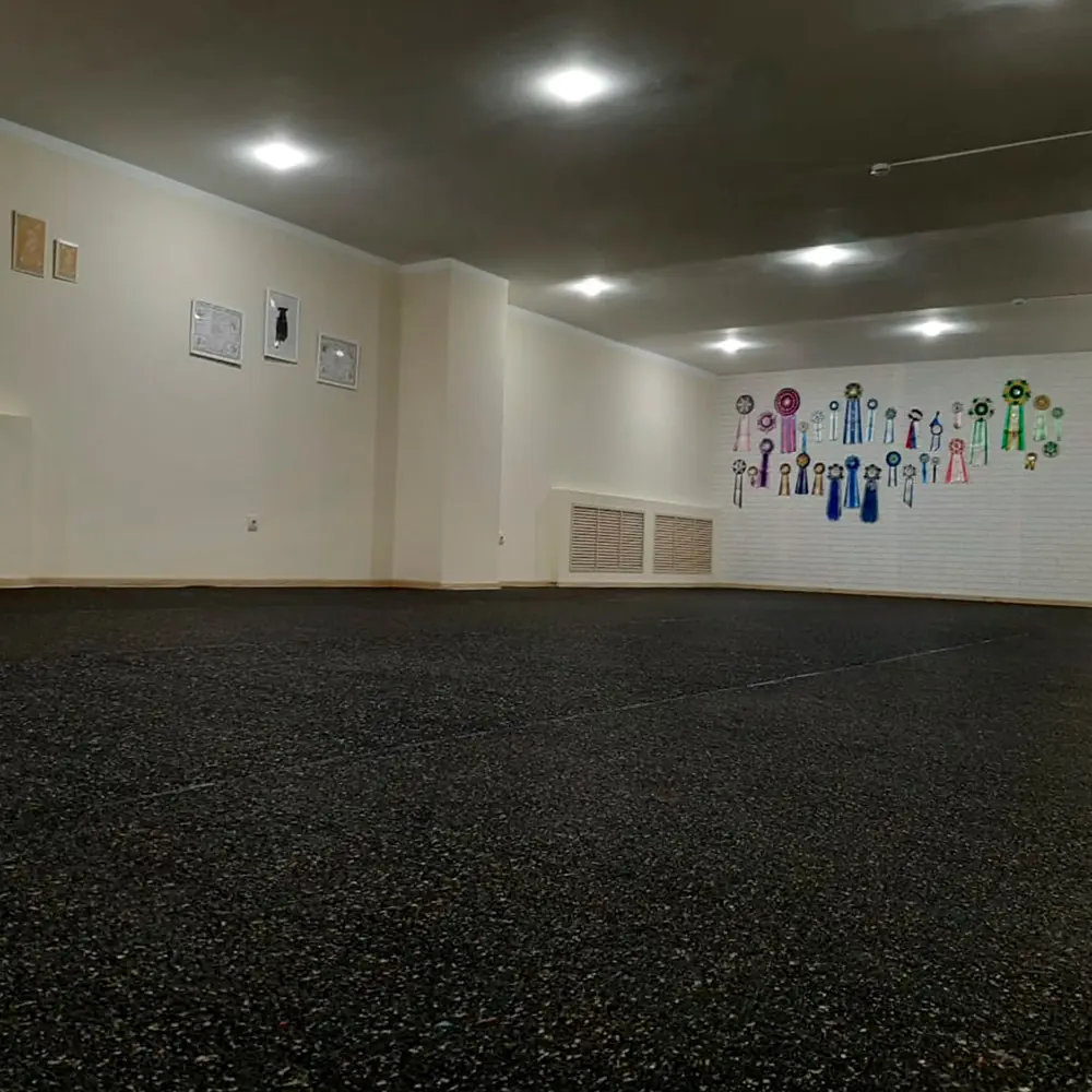 Резиновое покрытие Alegria Color 810 6 мм 1.2x10 м 12 м² 84804127 STLM-2116477 Santreyd  - Вид №8