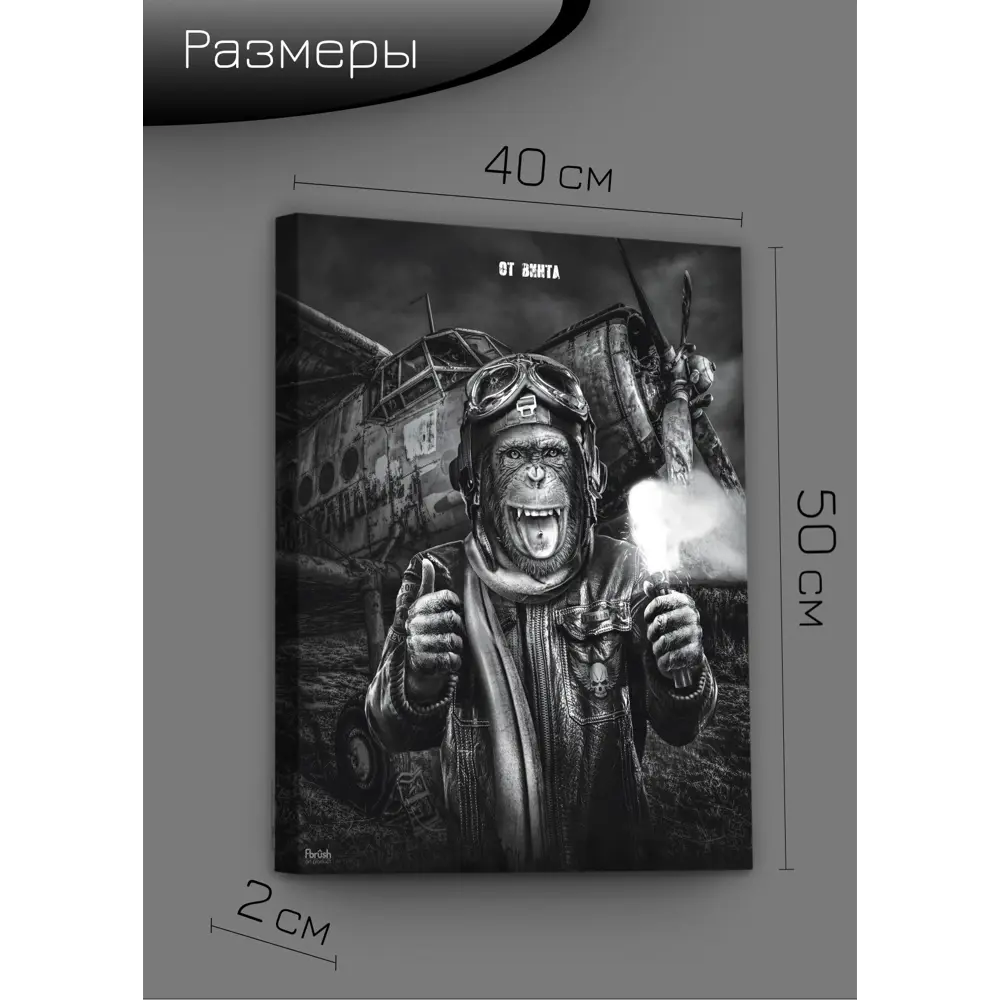 Картина на холсте Смелый пилот 40x50 см 85394529 STLM-2185487 FBRUSH  - Вид №8