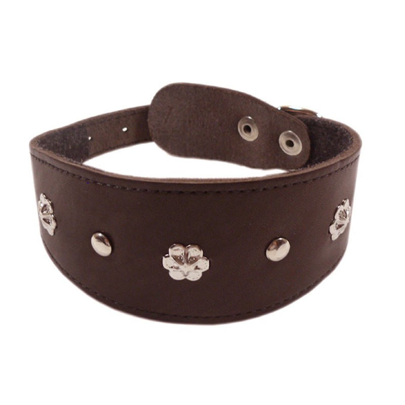 ПР0048179 Ошейник для собак Камбала 1сл 55мм 40см коричневый ZOOEXPRESS 