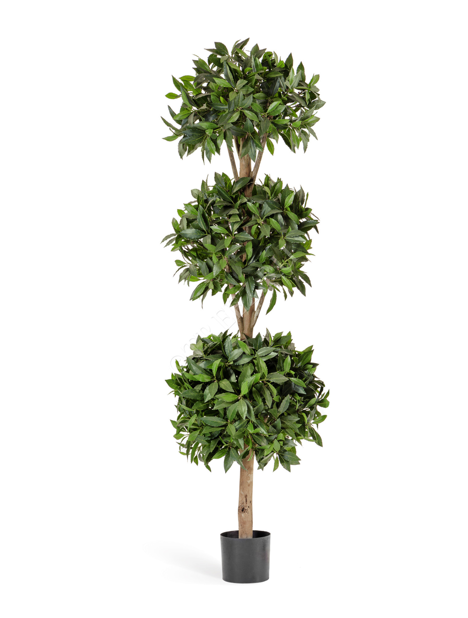 10.50806N Лавр шар тройной 180 см Цветочная коллекция 