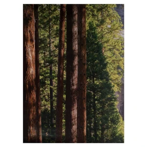 Фотообои бумажные «Йосемитский водопад» 184х254 см 18204124 STLM-2077762