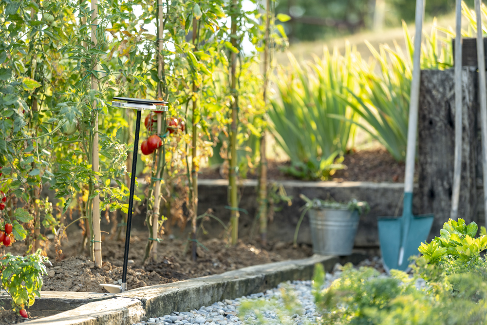 9402216 Мобильный светильник Platek CHIODO Picchetto (mobile)  CHIODO h. 1100 mm - LED 3000K 93°  - Вид №10