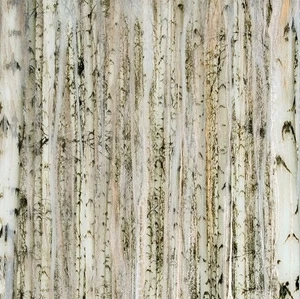 Декоративная панель Organic Day in Aspen